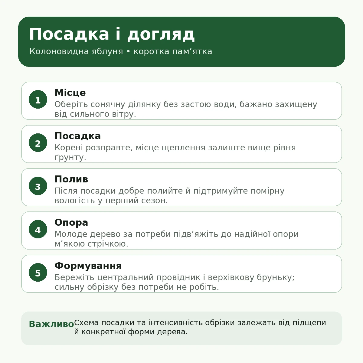 Посадка і догляд за колоновидною яблунею — пам’ятка AgroSad
