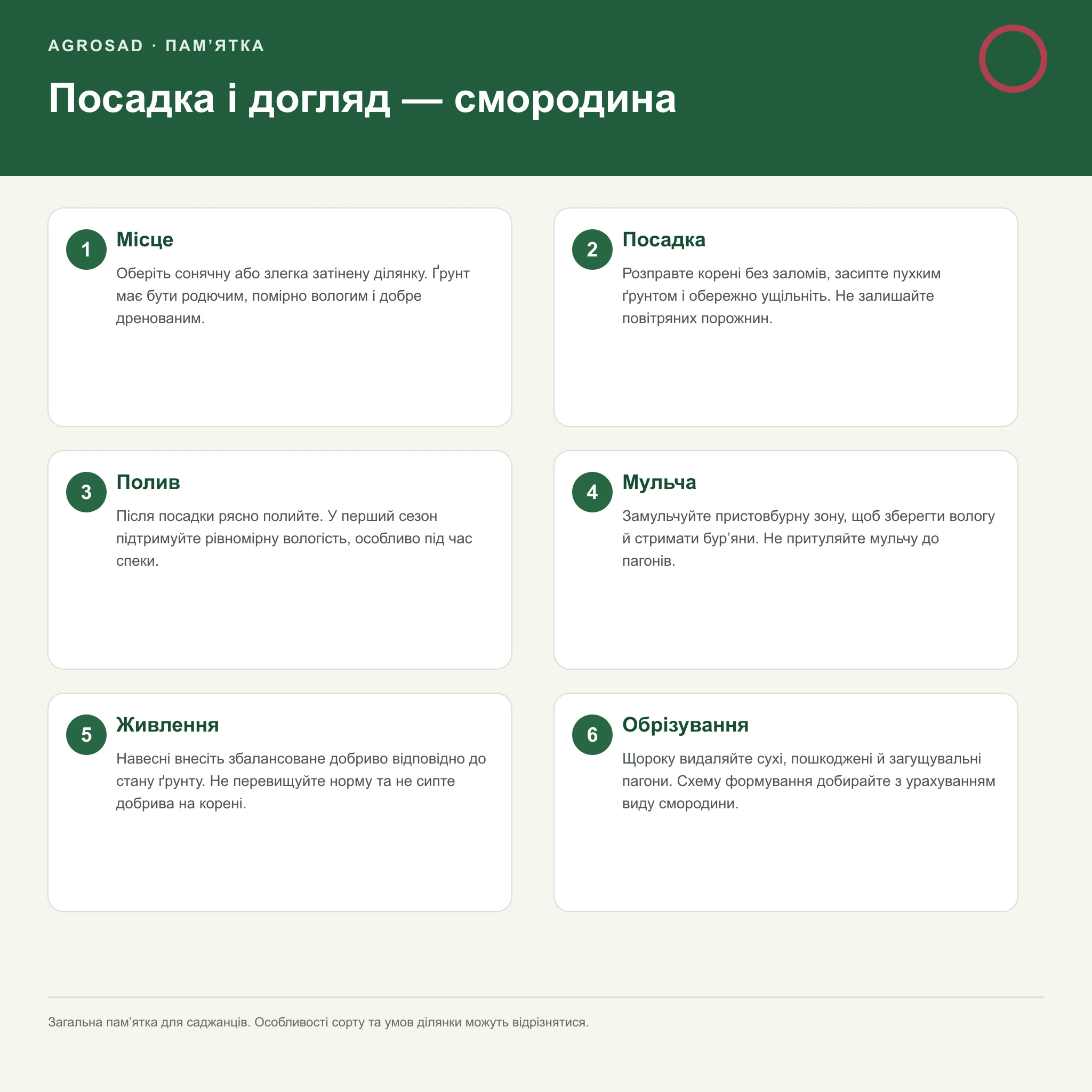 Посадка і догляд за саджанцем смородини
