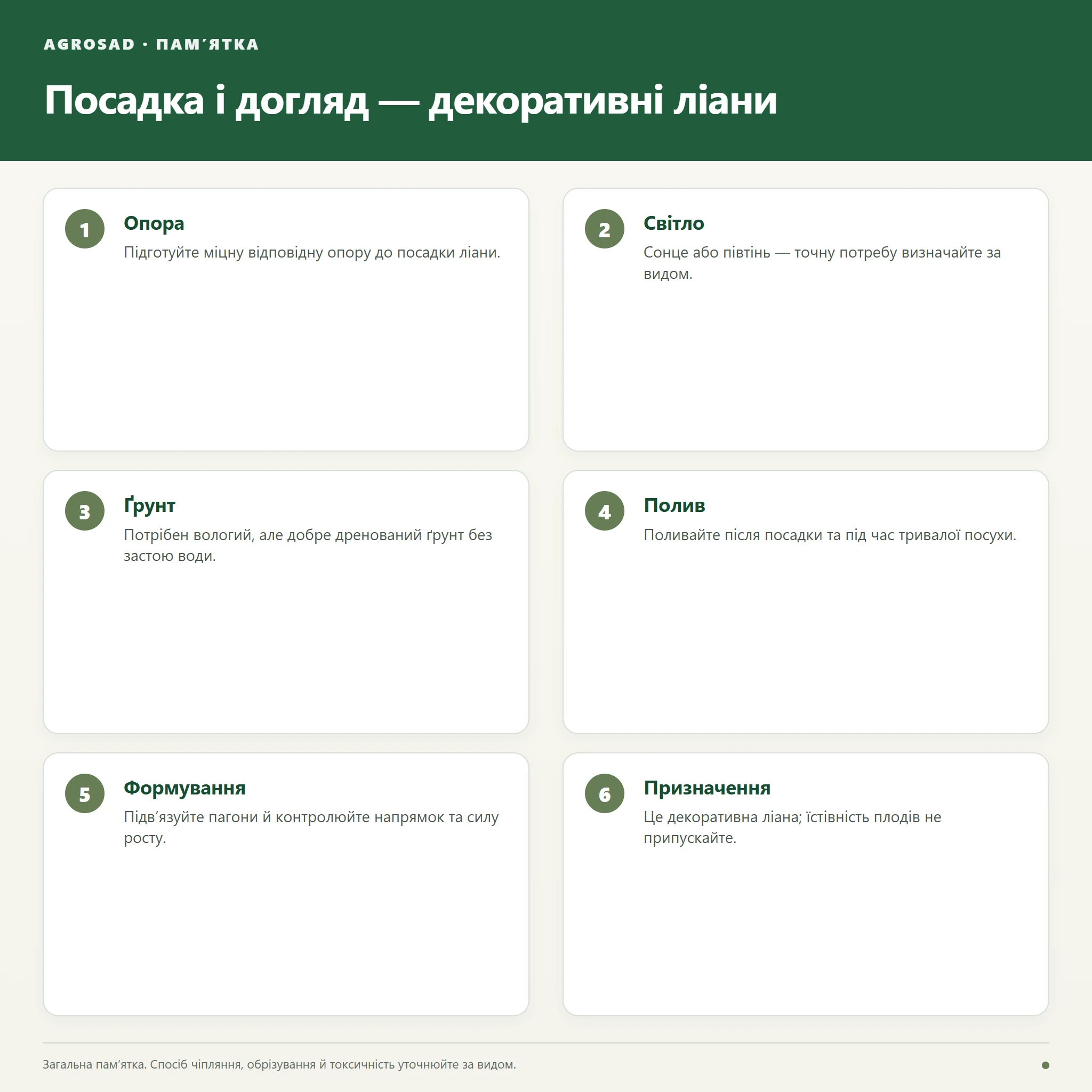 Посадка і догляд за саджанцем: декоративні ліани