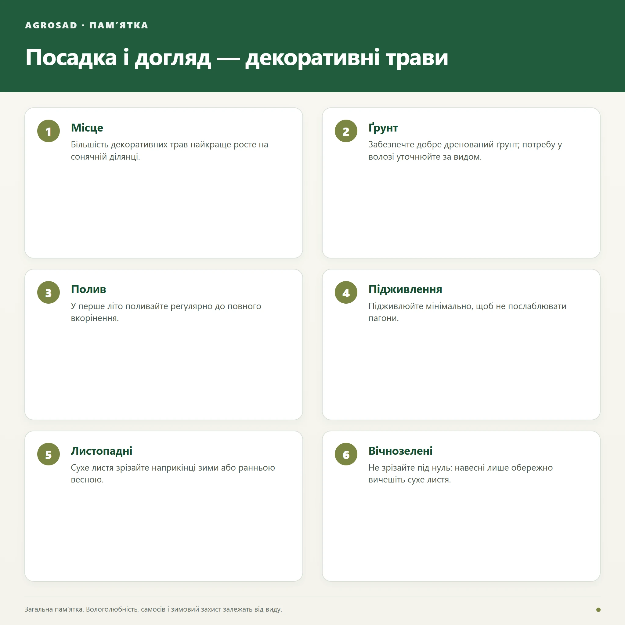 Посадка і догляд за саджанцем: декоративні трави