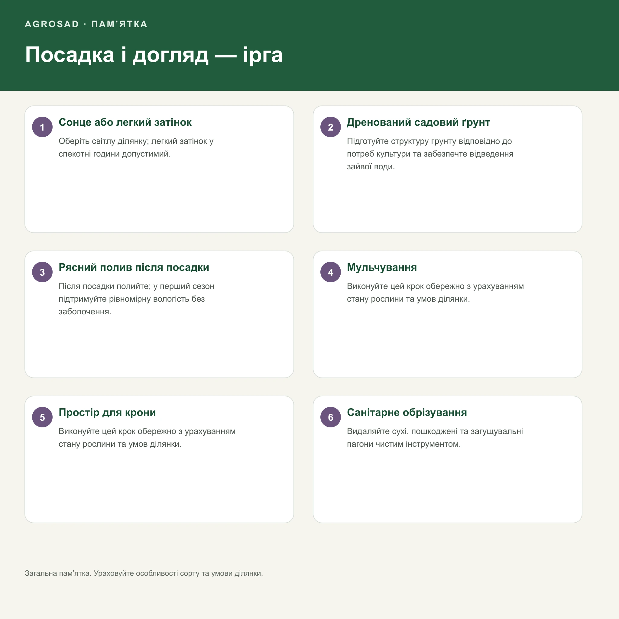 Посадка і догляд за саджанцем: ірга